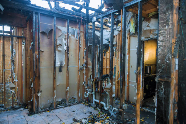 Professional Smoke Damage Removal technician working in Monmouth Junction, NJ